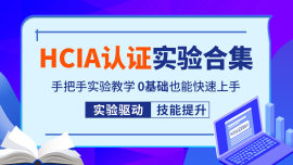 华为HCIA-Datacom认证实验指南